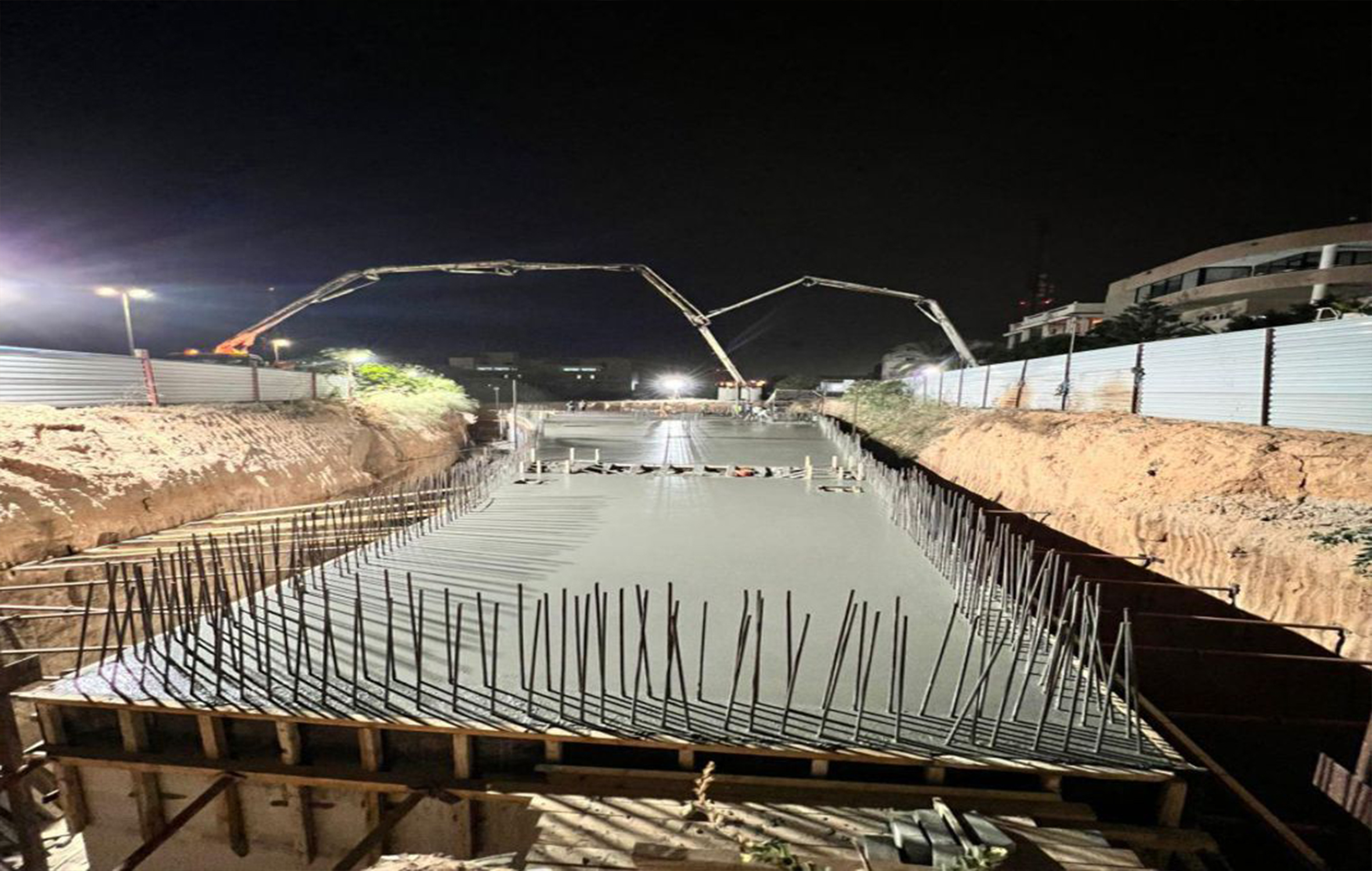 شحن المواشي